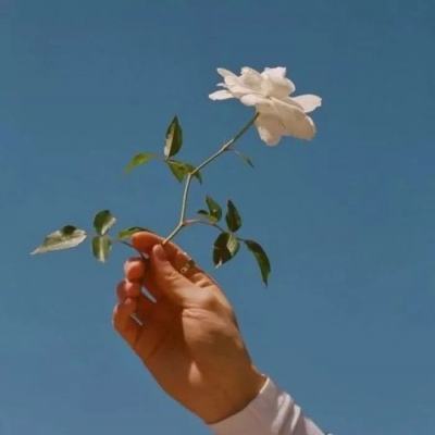 紫月屠龙果盘手游下载