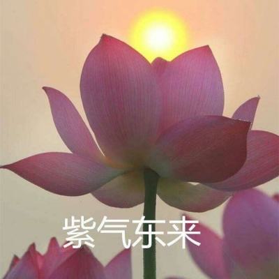 激萌地下城游戏